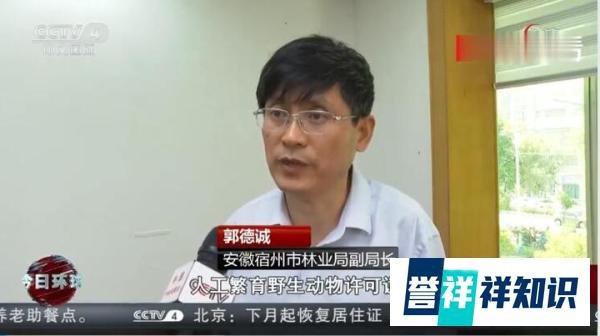 河南伤人老虎所属马戏团无养虎资格 这是咋情况？