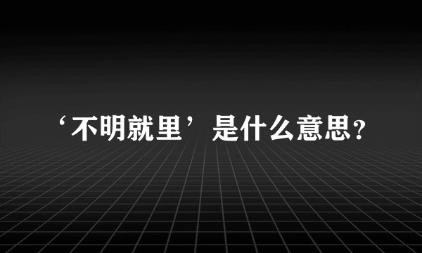 ‘不明就里’是什么意思？