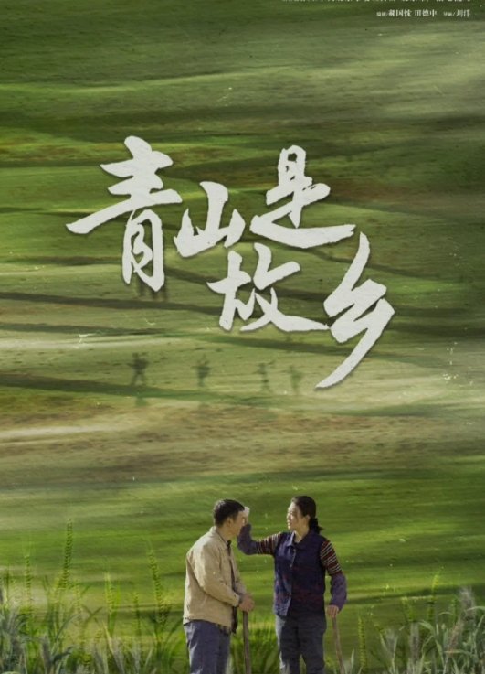 青山是故乡 1-48 集剧情介绍