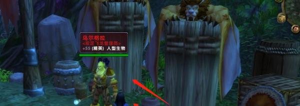 魔兽世界怀旧服灰谷的飞行鸟点在哪里？