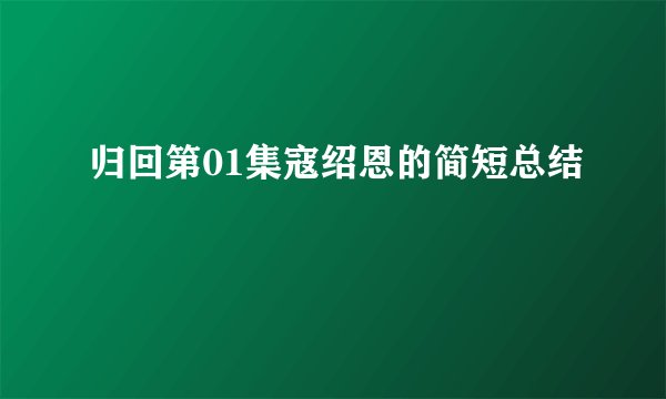 归回第01集寇绍恩的简短总结