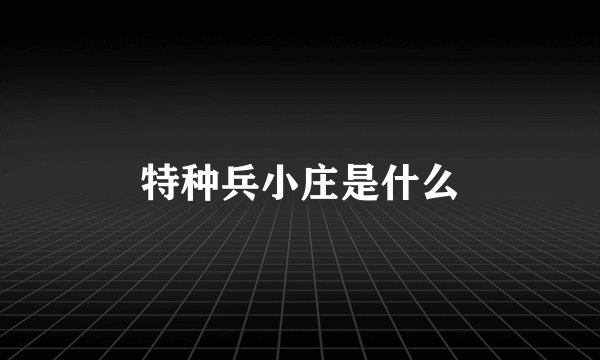 特种兵小庄是什么
