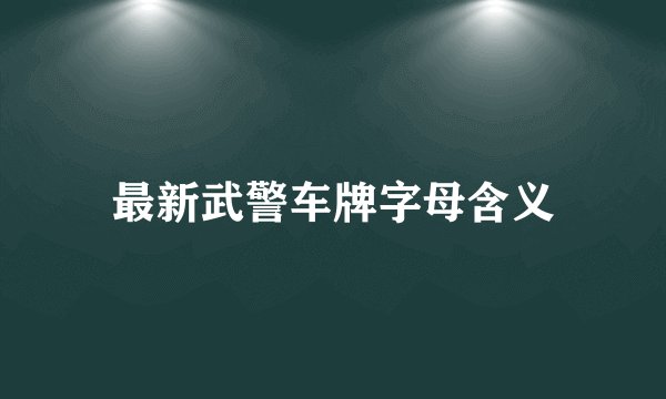 最新武警车牌字母含义
