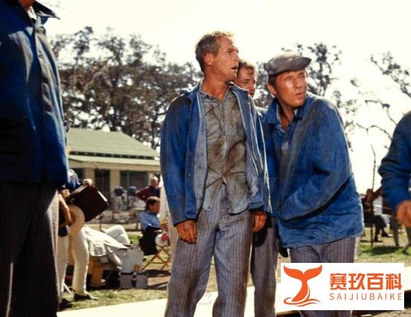 反抗与救赎,电影《铁窗喋血》中的自由之路