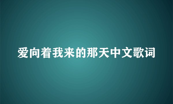 爱向着我来的那天中文歌词