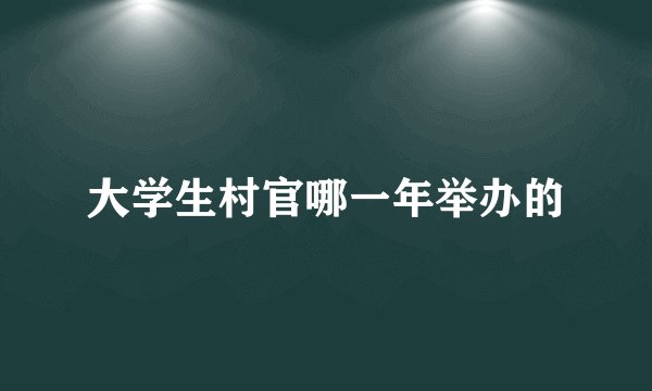 大学生村官哪一年举办的