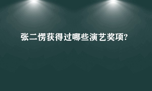 张二愣获得过哪些演艺奖项?