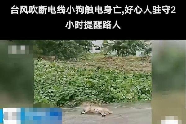 男子怕有人触电，守候路边2小时