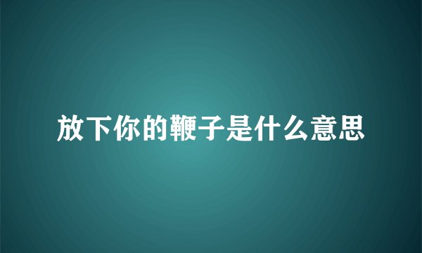 放下你的鞭子是什么意思