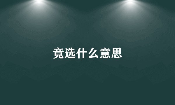 竞选什么意思