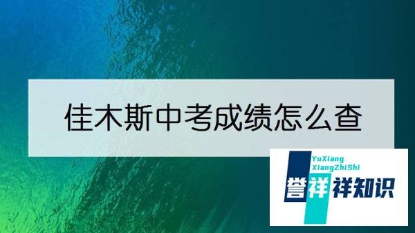 佳木斯中考成绩怎么查