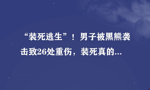 “装死逃生”！男子被黑熊袭击致26处重伤，装死真的能骗过黑熊？