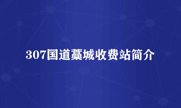 307国道藁城收费站简介