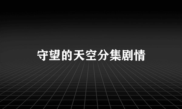 守望的天空分集剧情