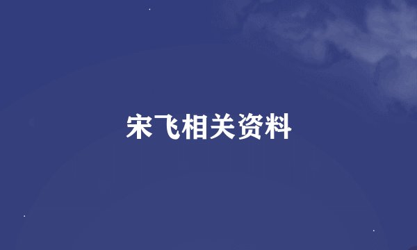 宋飞相关资料