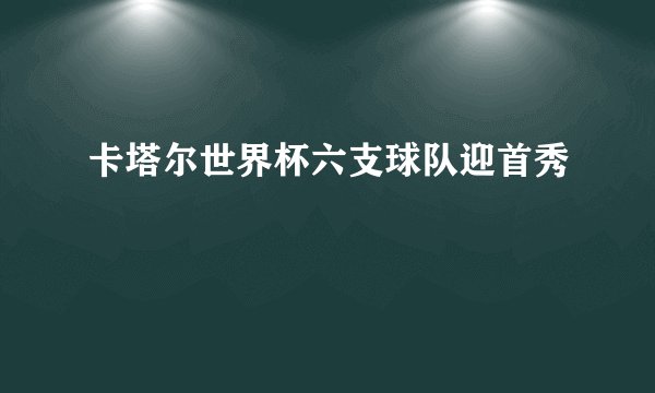 卡塔尔世界杯六支球队迎首秀