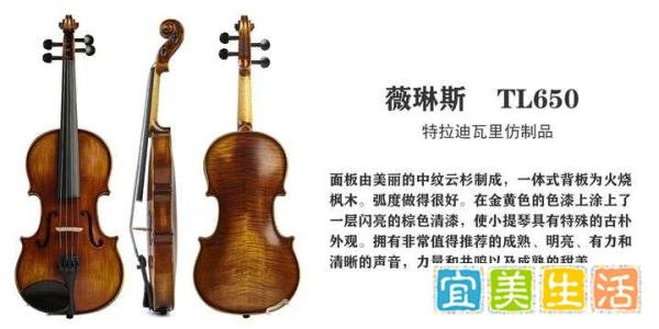【避坑指南】2025年小提琴价格全解析：不同预算怎么选不踩坑？