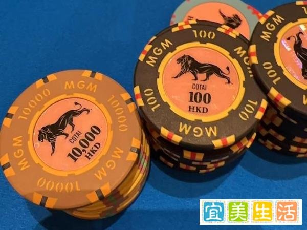 揭秘澳门赌场里的「大庄家」