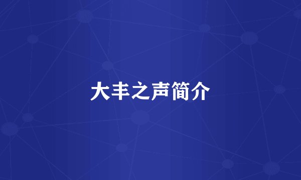大丰之声简介