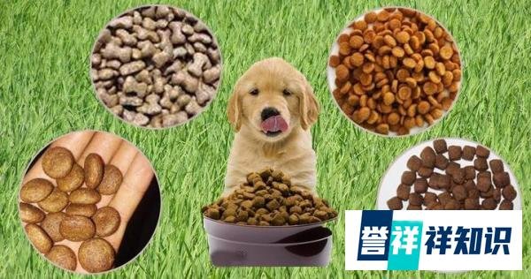 外媒:之前超级大国竟然部分人民被迫吃宠物食品