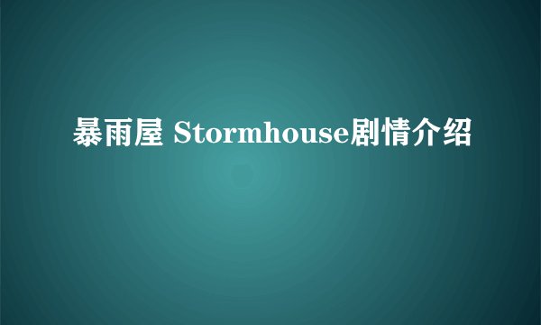 暴雨屋 Stormhouse剧情介绍