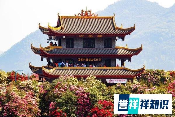 国办督查室：贵州大方县拖欠教师4.7亿！教师有第13个月工资