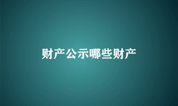 财产公示哪些财产