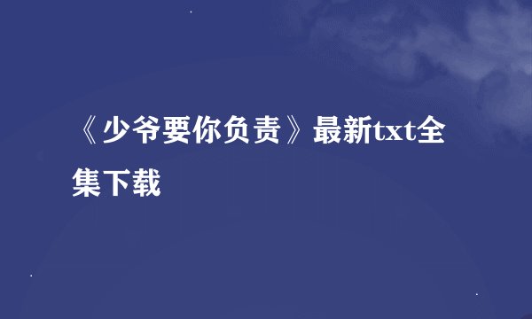《少爷要你负责》最新txt全集下载