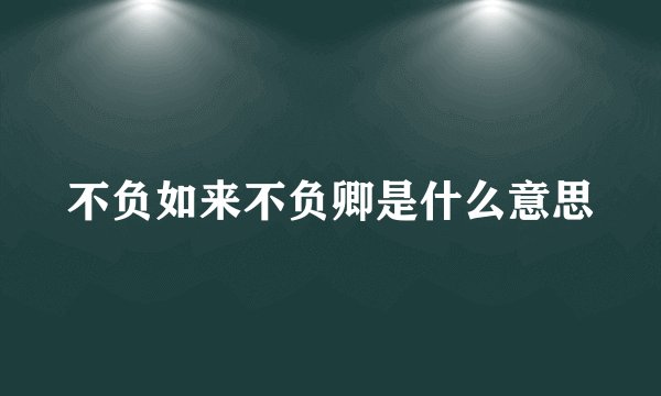 不负如来不负卿是什么意思