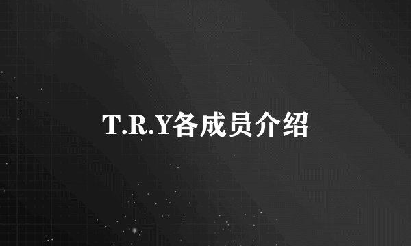 T.R.Y各成员介绍