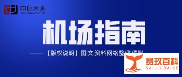 头等舱也有贼！？飞机上的小偷比你想象的多