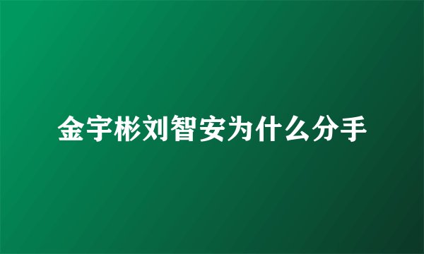 金宇彬刘智安为什么分手