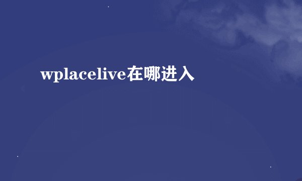 wplacelive在哪进入