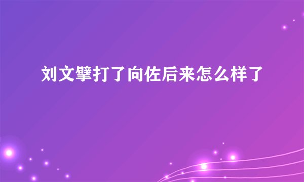 刘文擘打了向佐后来怎么样了