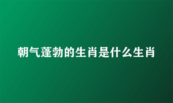 朝气蓬勃的生肖是什么生肖