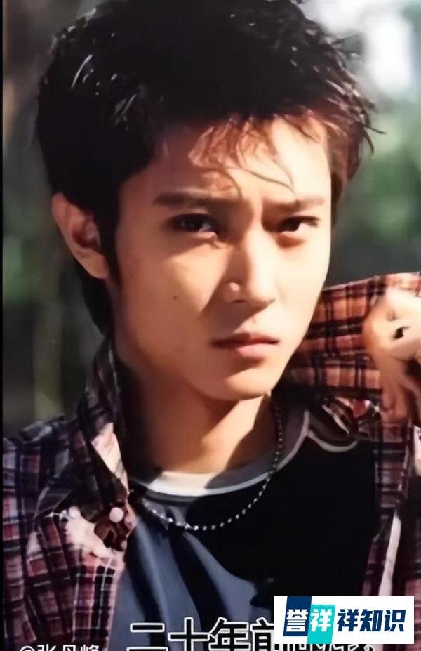 张丹峰问为什么没早点遇见洪欣