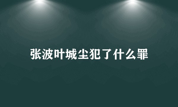 张波叶城尘犯了什么罪