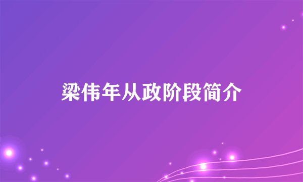 梁伟年从政阶段简介