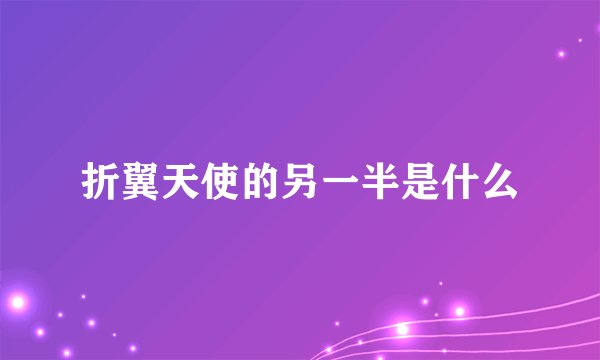 折翼天使的另一半是什么