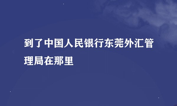 到了中国人民银行东莞外汇管理局在那里