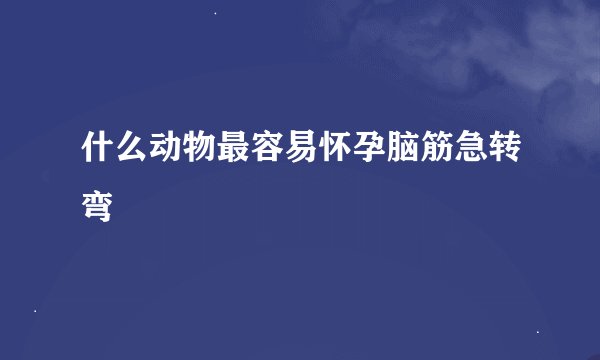 什么动物最容易怀孕脑筋急转弯