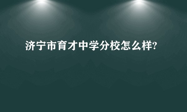 济宁市育才中学分校怎么样?
