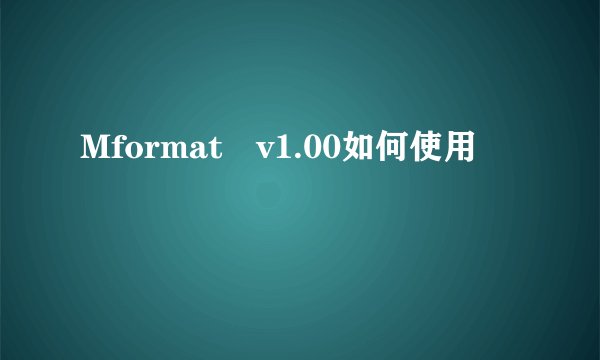 Mformat v1.00如何使用