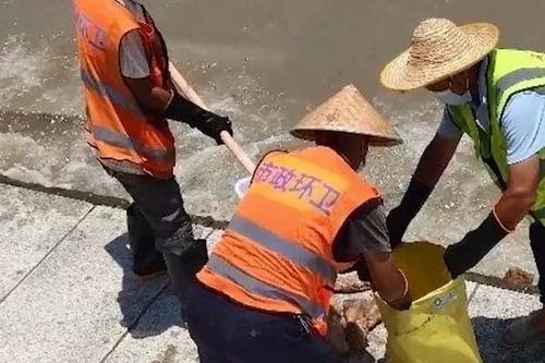 一夜间东莞海滩出现上万猪蹄，是谁这样子豪横？