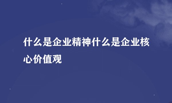 什么是企业精神什么是企业核心价值观
