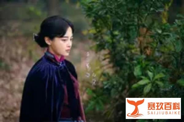 姚安娜新剧搭档辛芷蕾,热血演绎《仁心俱乐部》!