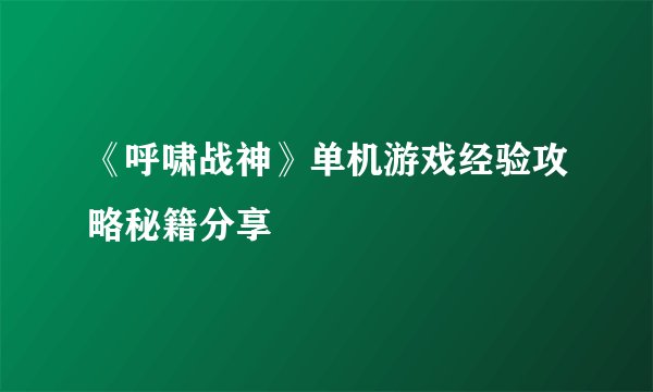 《呼啸战神》单机游戏经验攻略秘籍分享