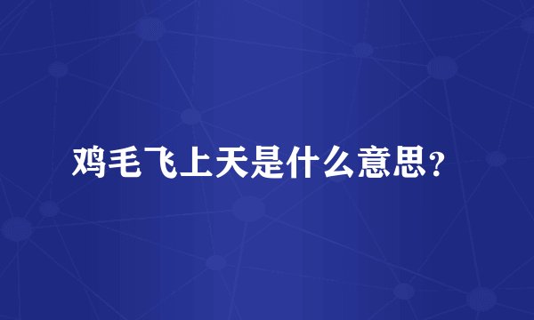 鸡毛飞上天是什么意思？