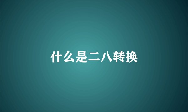 什么是二八转换