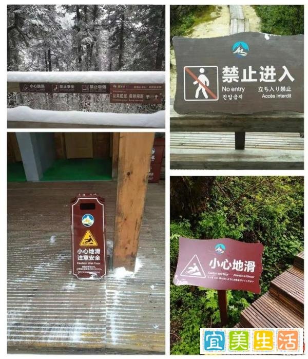 黄龙上万年钙化滩遭游客踩踏,景区呼吁